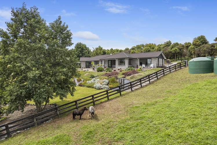 31 Wildwood Lane Matamata_33