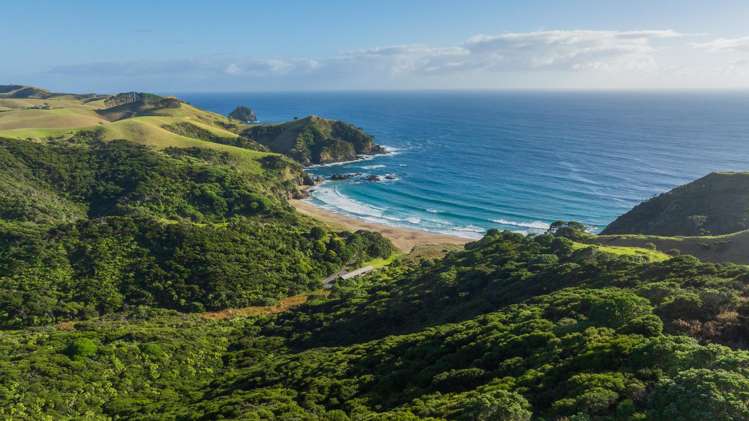 lot 17/385 Rangihoua Road Kerikeri_29