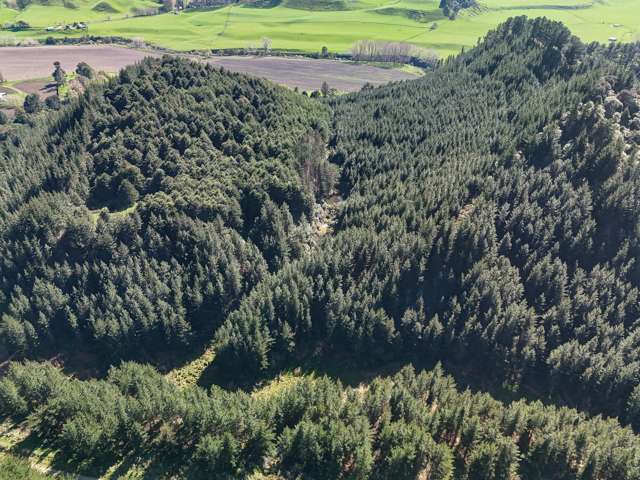 Okirae Road Mangamahu_4