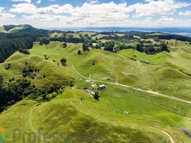 1788 Manawahe Road Manawahe_21