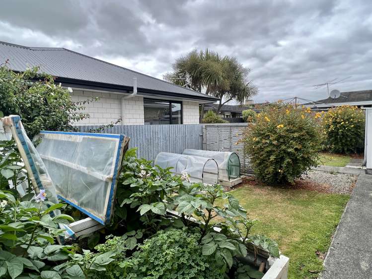 3/77 Sydney Street Windsor_19