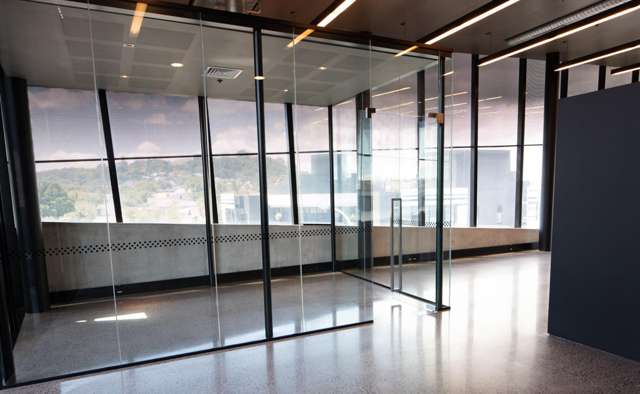 109 Dominion Rd Mt Eden_1