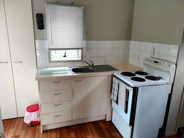 2/101 Ireland Road Panmure_2