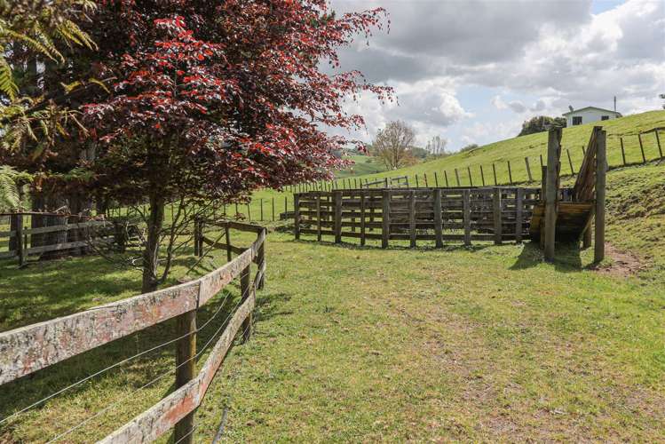 1025 Hetherington Road Ruawaro_34