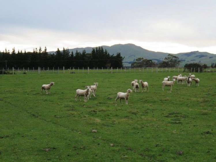 769 State Highway 2 Opaki_16