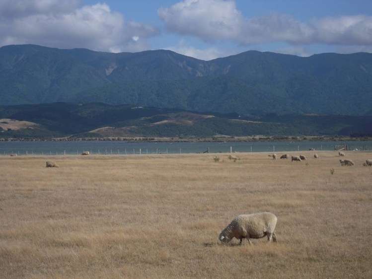 Lake Ferry Road Lake Ferry_8