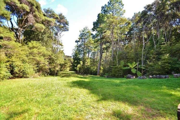 44a Crows Road Swanson_6