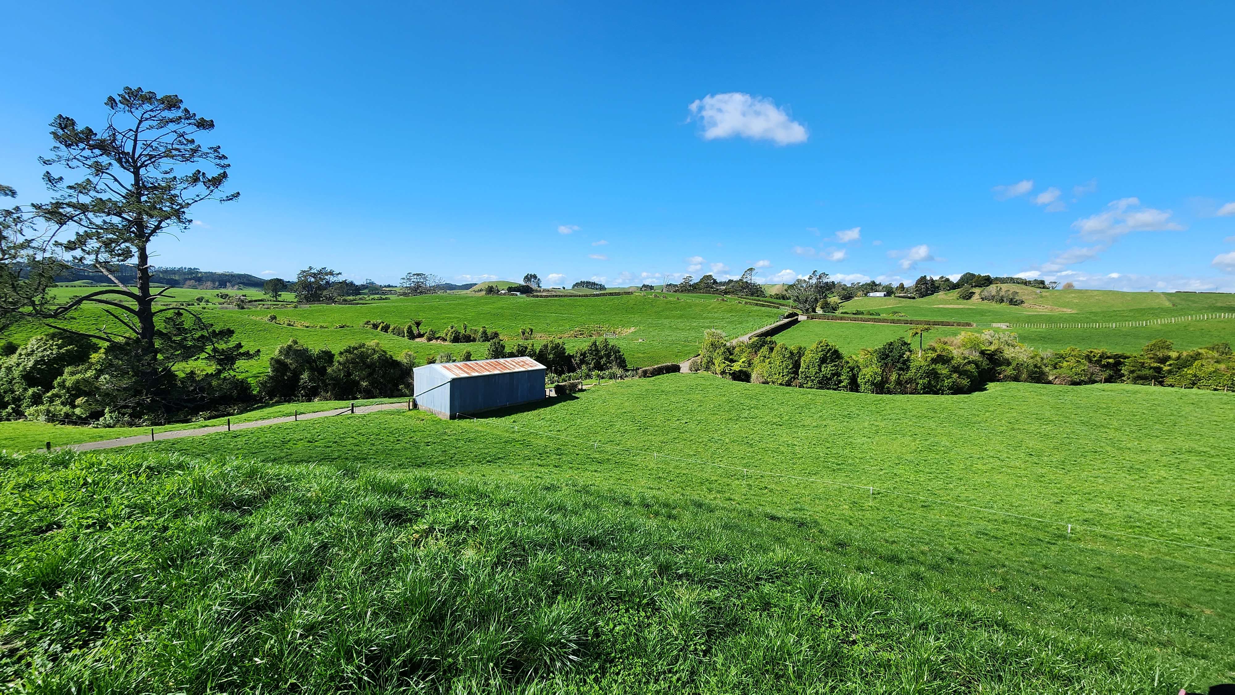 Lot 2, 868 Upland Road Egmont Village New Plymouth Rural Property