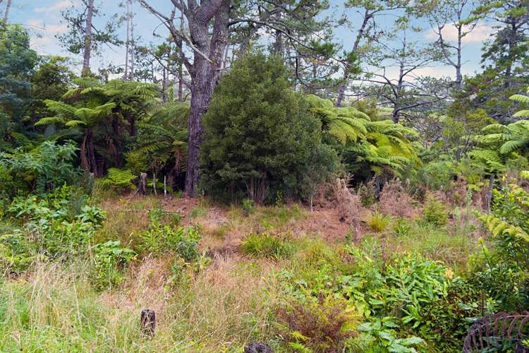 Unit 1/30 Chorley Avenue Massey_15