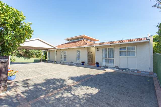 98 Mount View Road Bastia Hill_2