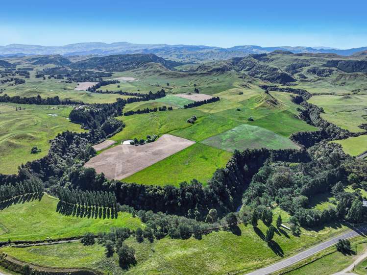 4551 Wairoa Road Tutira_8