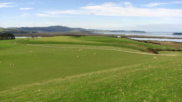 369 Burma Road Tapora_5