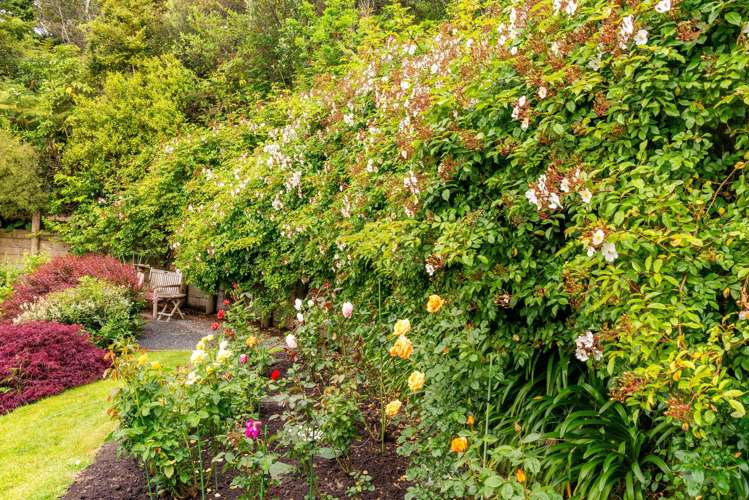 39 Blue Mountains Road Silverstream_35