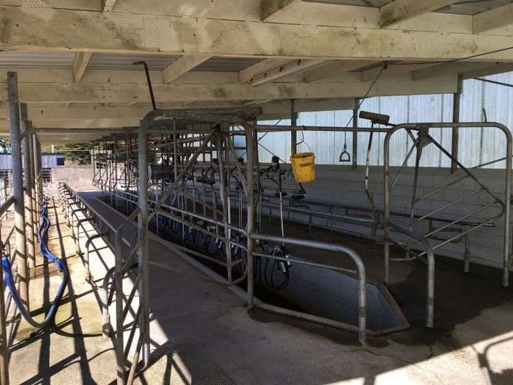 3280 Mountain Road Midhirst_8