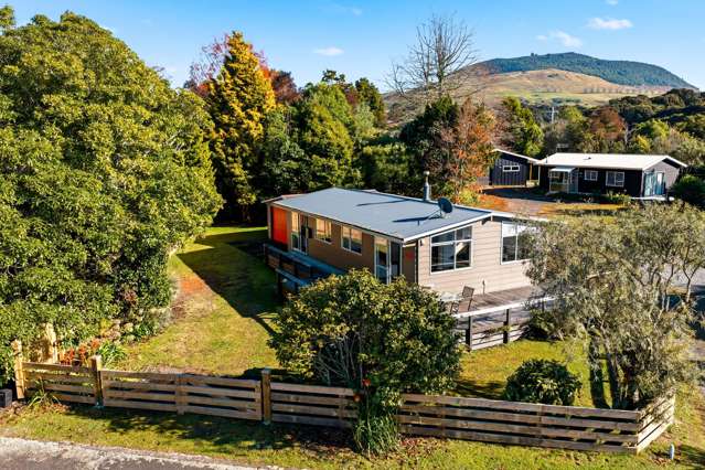 13 Rangiwhero Street Omori_1