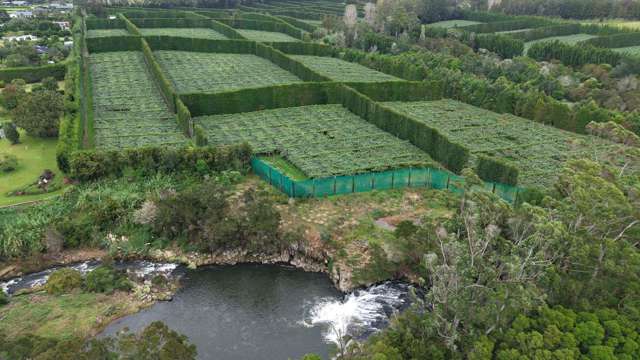Charlie’s Rock Orchard - A Premier Opportunity
