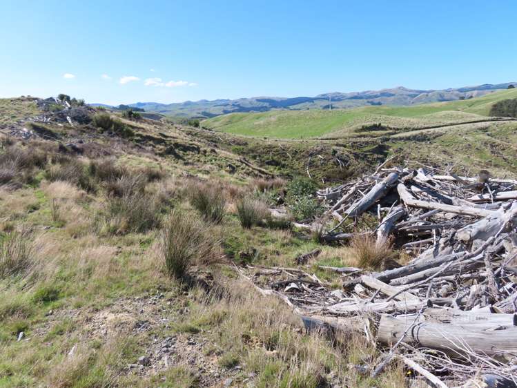 210 Mangamaire Road Dannevirke_6