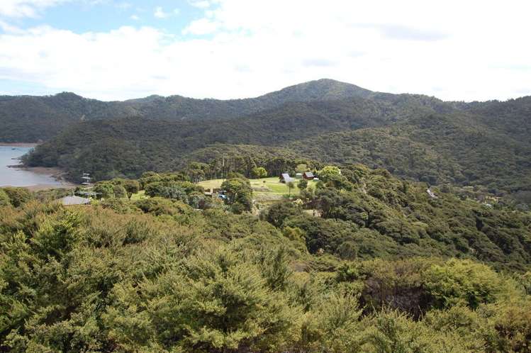 4 Harpoon Hill Great Barrier Island (Aotea Island)_0