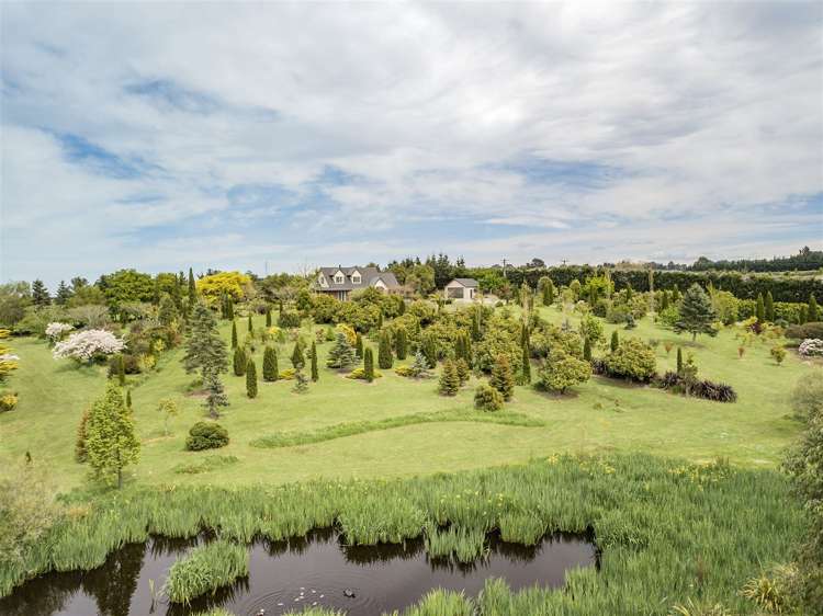 119 Forestry Road Ashley_22