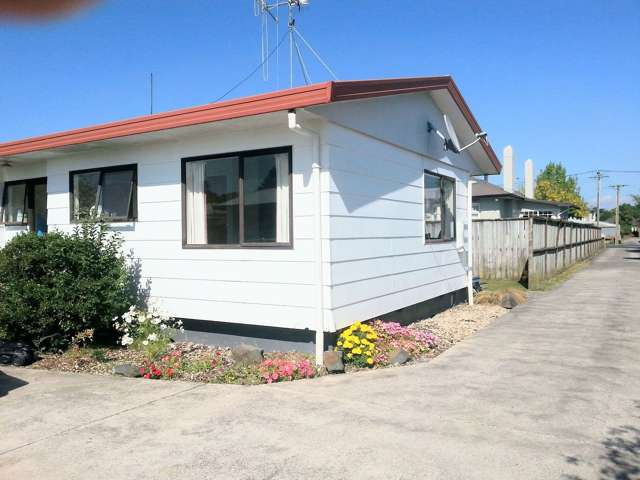 120a Nixon Street Hamilton East_3