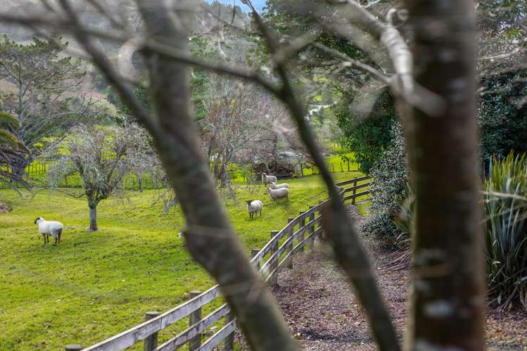 25 Hawkes Access Road Waitoki_23