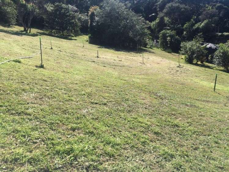 75 Junction Road Palm Beach_10