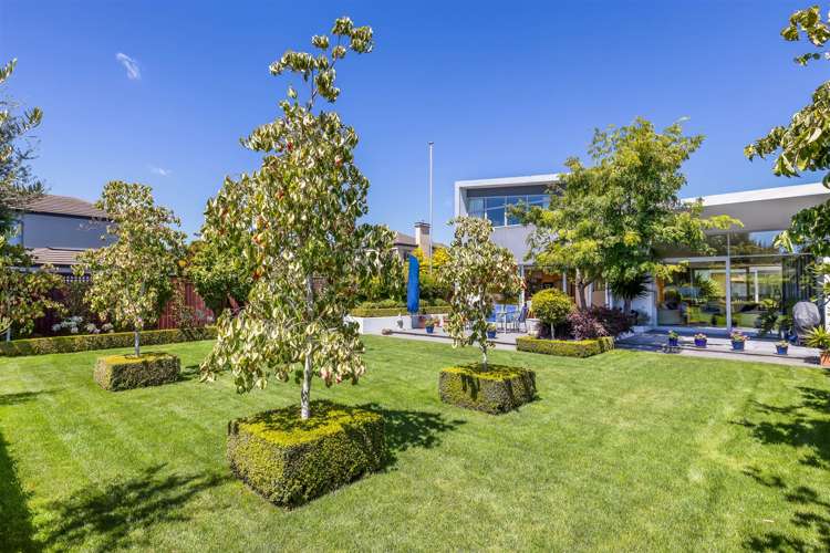 50 Hamilton Avenue Ilam_20