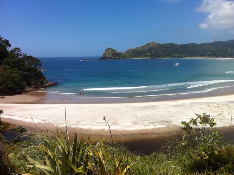 Lot 1&2 Shoal Bay Road Great Barrier Island_29