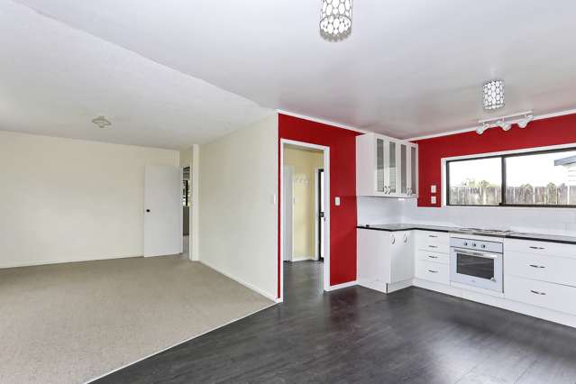 30g Harris Street Te Puke_3