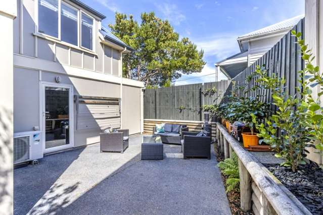 29 Austin Street Sydenham_1