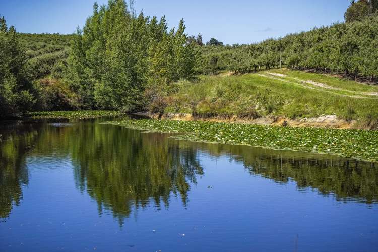 5 Lindup Road Lower Moutere_13