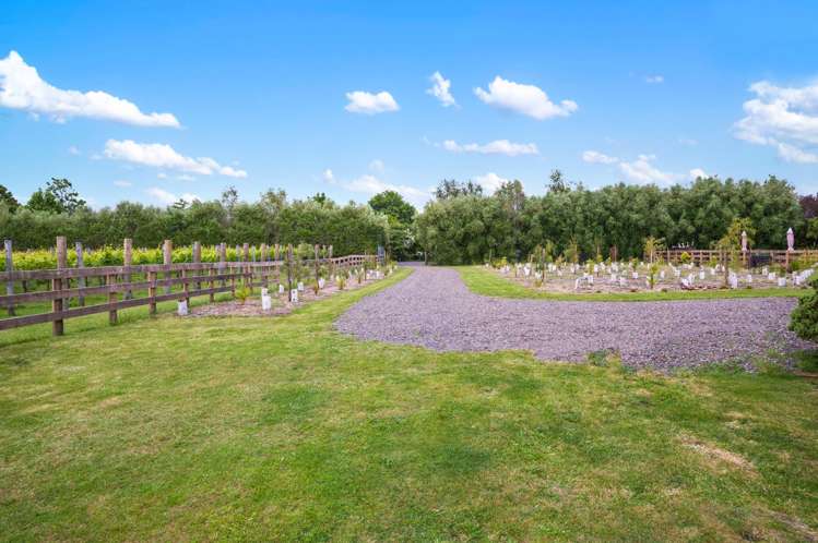 30 Riverpark Drive Kuratau_9