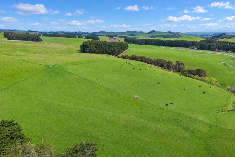 558 Pukeatua Road and 235 Otope Road Dannevirke_42