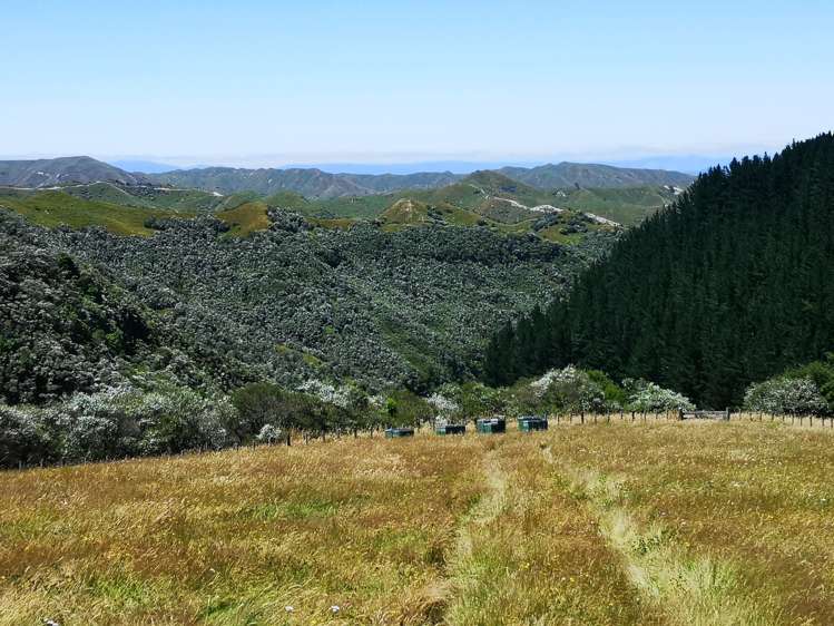 205 Kaweka Road Taihape and Surrounds_16