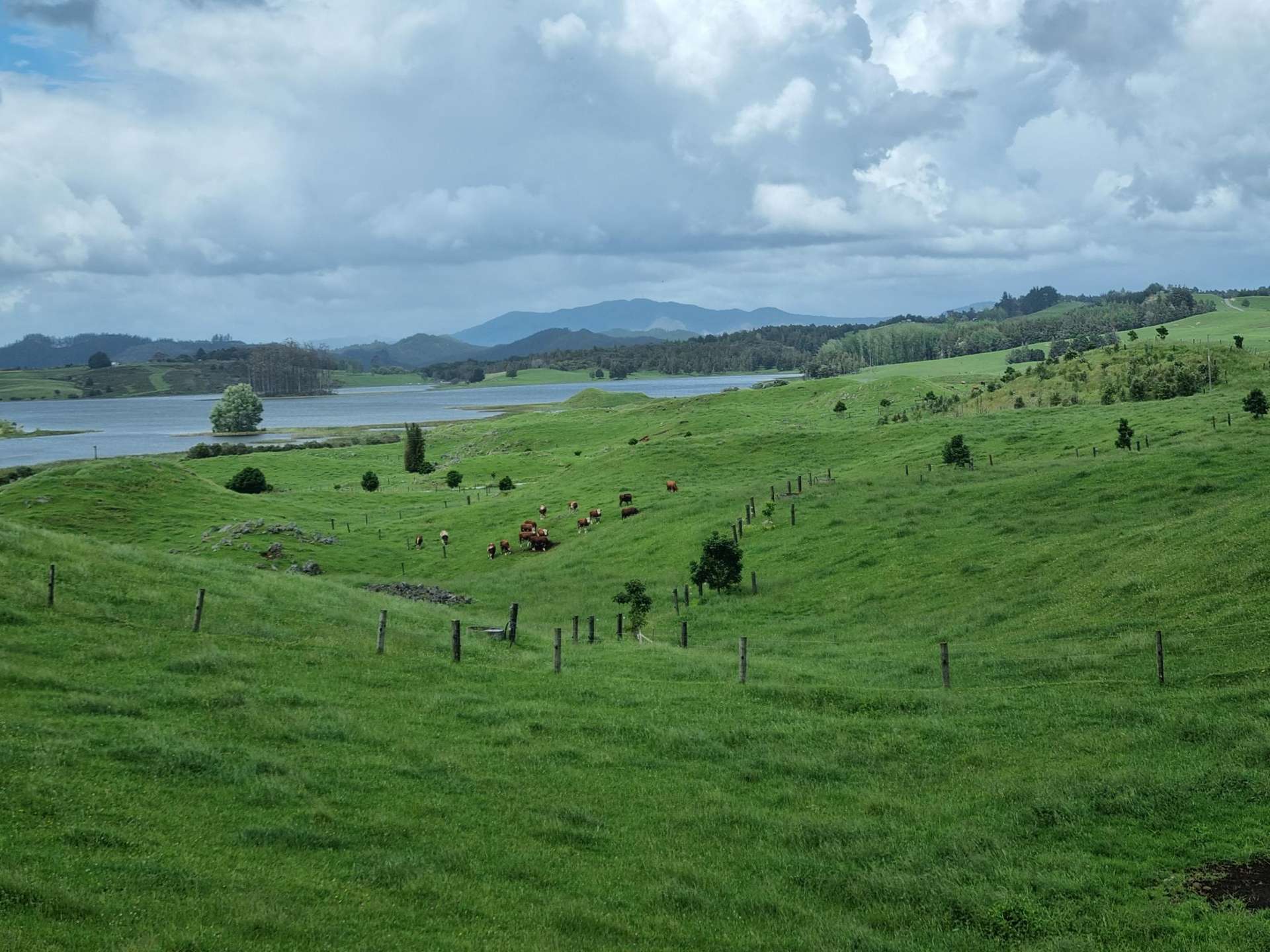 267 Ludbrook Road Pakaraka_0