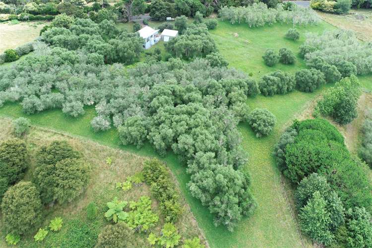 3699 Highway 22 Whangape_21