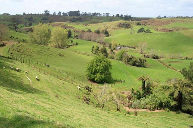 385 Wortley Road Lepperton_3