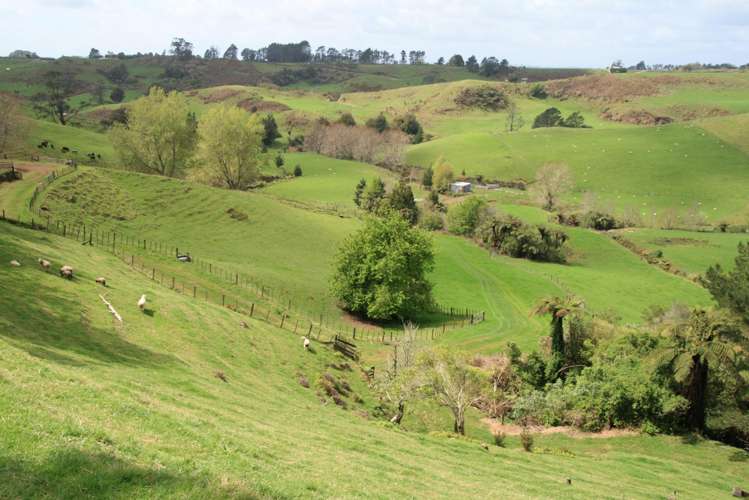 385 Wortley Road Lepperton_3