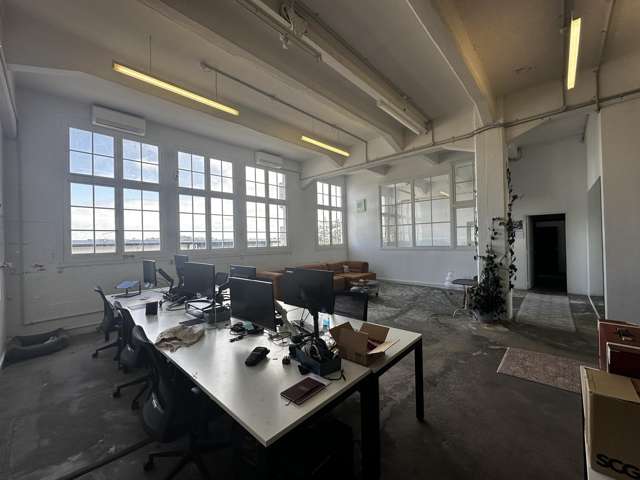 58 Surrey Crescent Grey Lynn_2