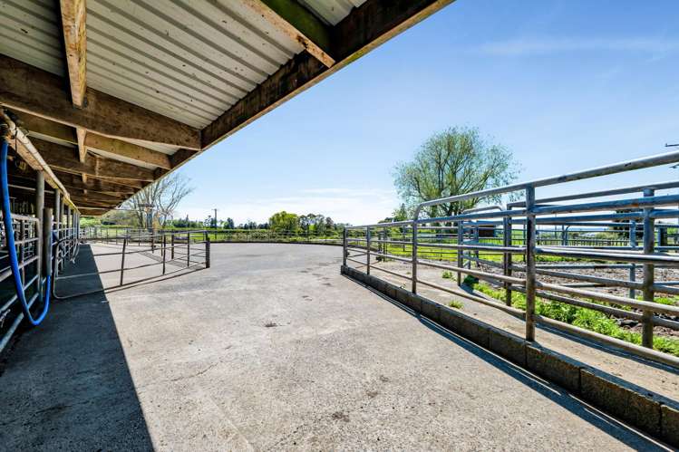 35 and 89 Norfolk Road Norfolk_26