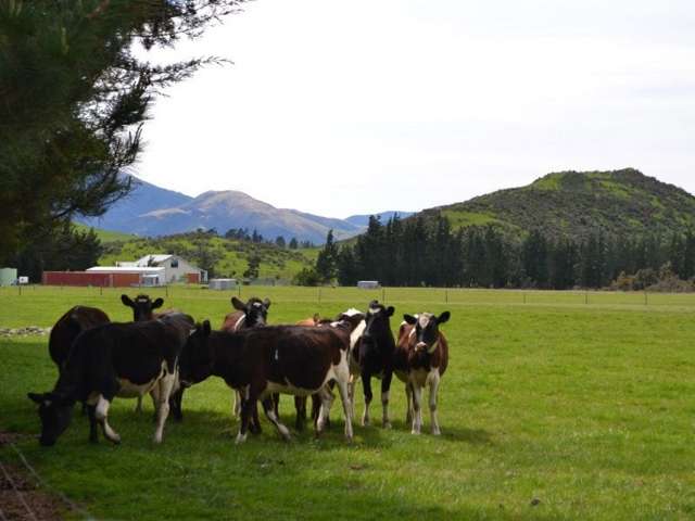 581 Rockford Road Waimakariri_2