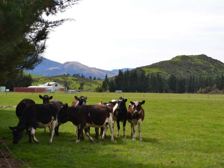 581 Rockford Road Waimakariri_2