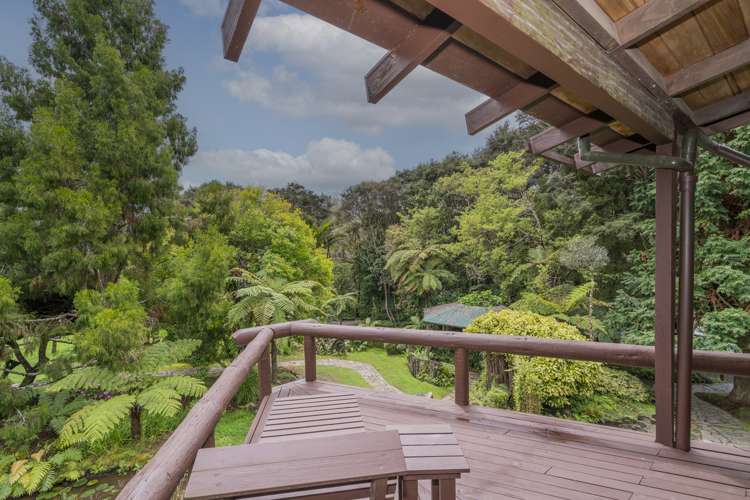 586 Tapu Coroglen Road Coromandel Forest Park_19