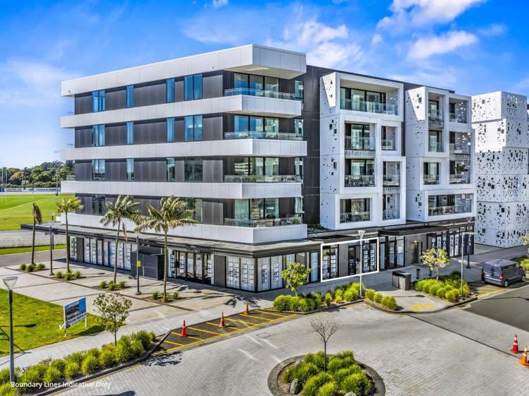 223 Greenlane West_0