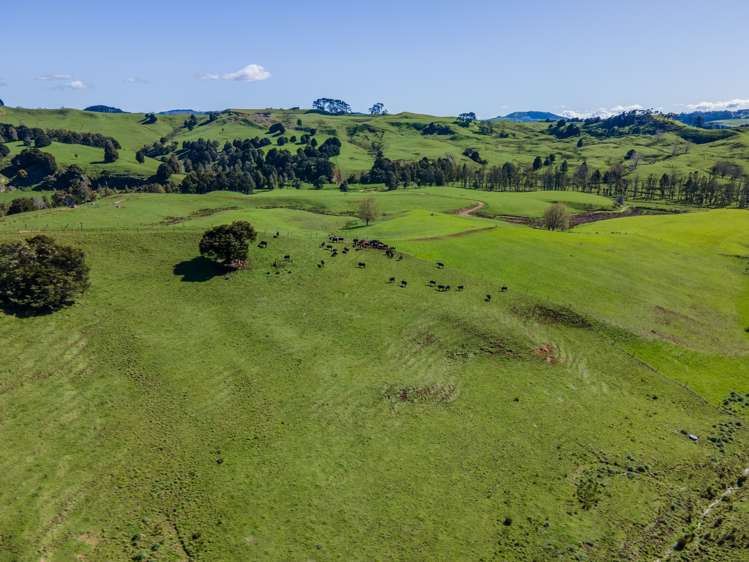 246 Allen And Eyre Road Onewhero_14