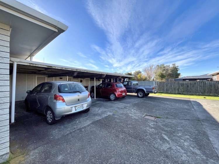 3/295 Ruahine Street 2145_9
