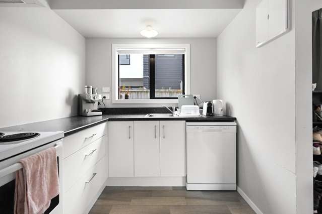24B Hogan Street Hamilton East_2