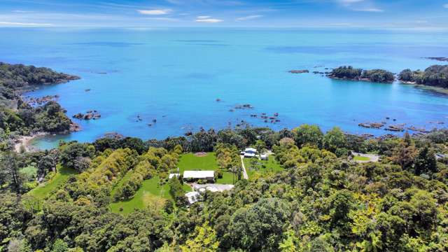 Live self sufficiently in Whanarua Bay