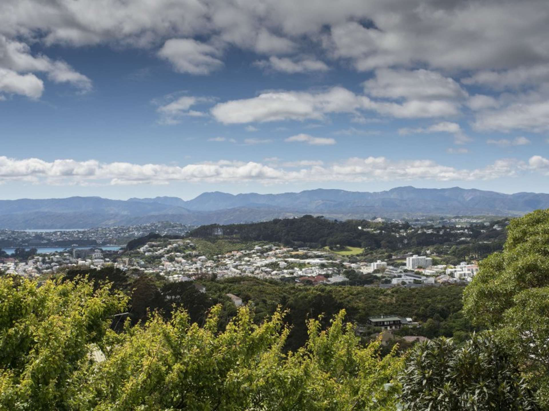 7/25 Mana Street Vogeltown_0