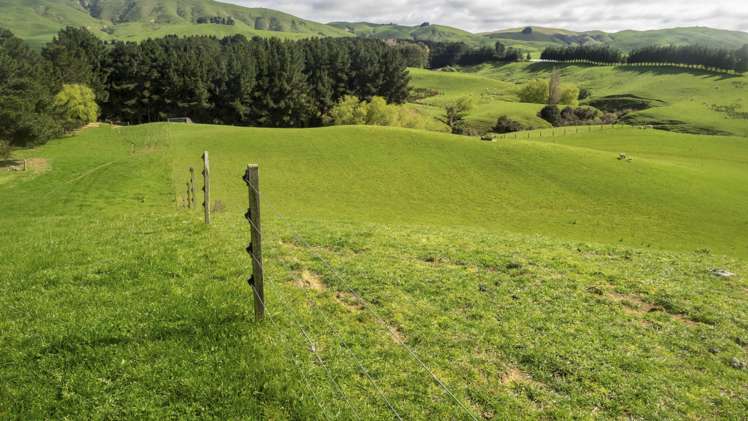 10284 Route 52 Pongaroa_11